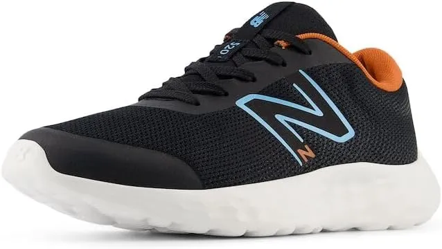 New Balance Boy's, 520v8 Sneaker - Little Kid & Big Kid