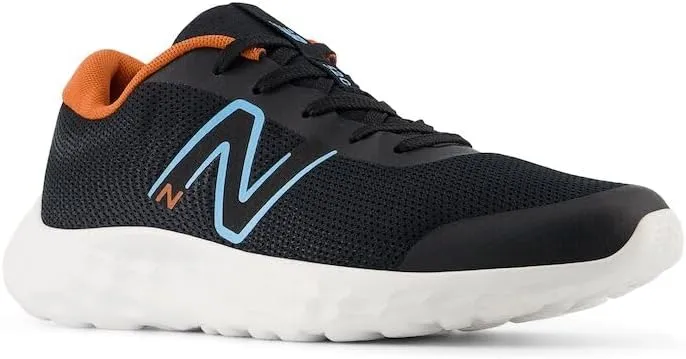 New Balance Boy's, 520v8 Sneaker - Little Kid & Big Kid